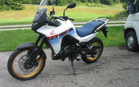 Neufahrzeug Honda XL750 Transalp - Bild 3