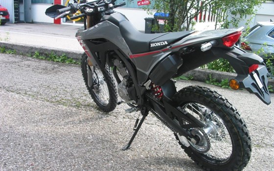 Neufahrzeug Honda CRF300L - Bild 4