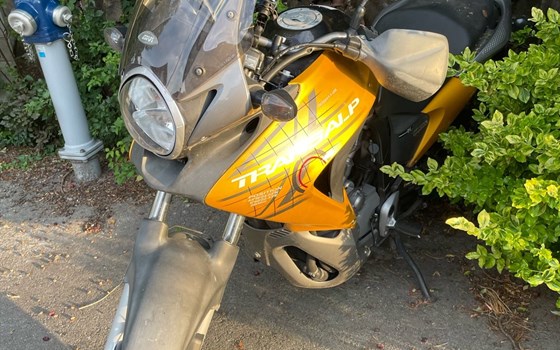 Gebrauchtmotorrad Honda XL 700V Transalp - Bild 1 Gebrauchtmotorrad Honda XL 700V Transalp - Bild 1