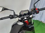 Angebot Benelli TnT 125