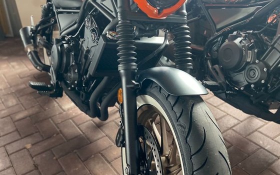 Neufahrzeug Honda CMX500 Rebel - Bild 2