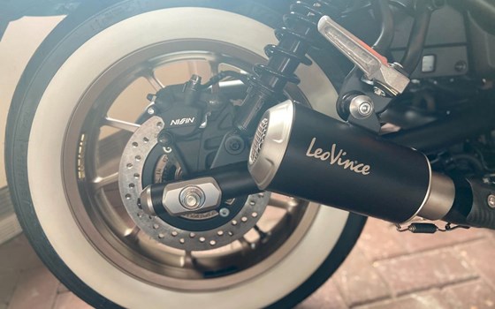 Neufahrzeug Honda CMX500 Rebel - Bild 5