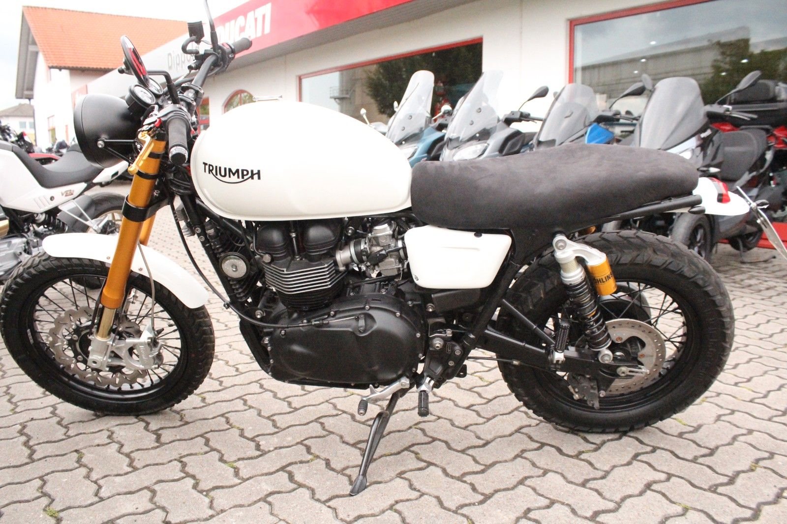 Triumph Scrambler 900