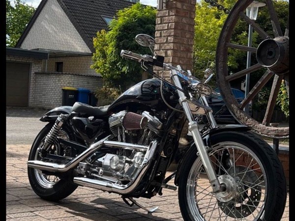 Gebrauchtmotorrad Harley-Davidson Sportster XL 883