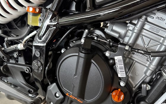 Neufahrzeug KTM 125 Duke - Bild 5 Neufahrzeug KTM 125 Duke - Bild 5