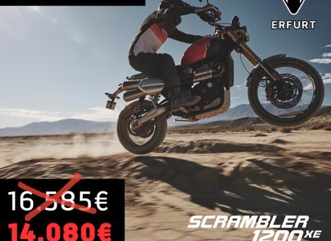 Neufahrzeug Triumph Scrambler 1200 XE - Bild 1