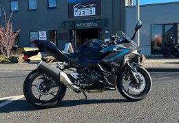 Neumotorrad Kawasaki Ninja 500 SE