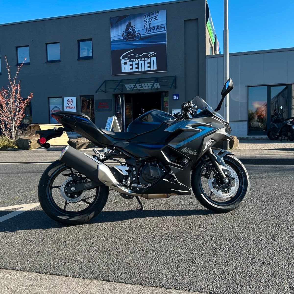 Kawasaki Ninja 500 SE