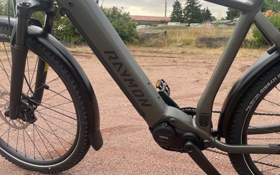 Neufahrzeug Raymon Tourray Pro - Bild 9