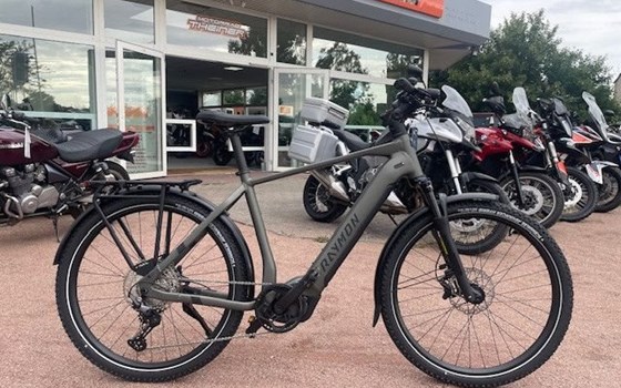 Neufahrzeug Raymon Tourray Pro - Bild 1