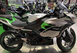 Neumotorrad Kawasaki Ninja e-1