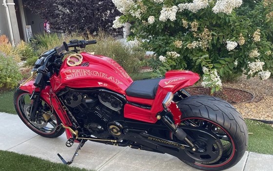 Gebrauchtmotorrad Harley-Davidson V-Rod 10th Anniversary Edition VRSCDX ANV - Bild 2 Gebrauchtmotorrad Harley-Davidson V-Rod 10th Anniversary Edition VRSCDX ANV - Bild 2