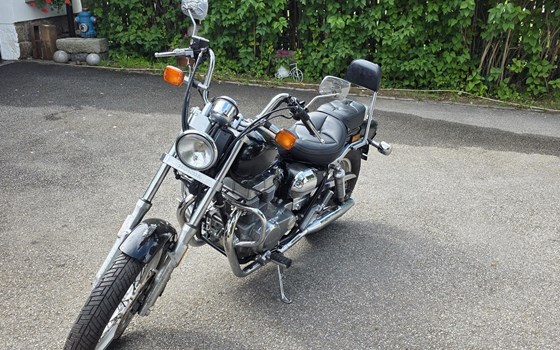 Gebrauchtmotorrad Honda CMX 450 Rebel - Bild 3 Gebrauchtmotorrad Honda CMX 450 Rebel - Bild 3