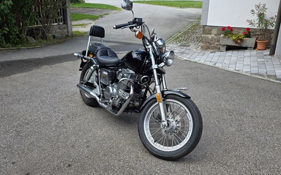 Gebrauchtmotorrad Honda CMX 450 Rebel - Bild 4 Gebrauchtmotorrad Honda CMX 450 Rebel - Bild 4