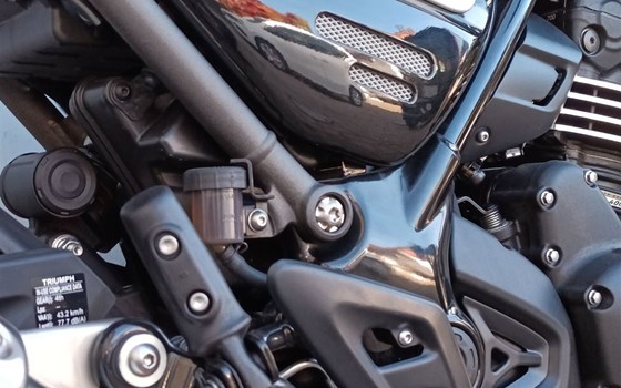 Motorrad Occasion Triumph Speed 400 - Bild 10