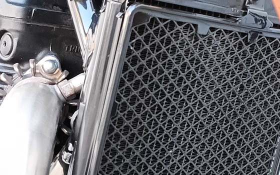 Motorrad Occasion Triumph Speed 400 - Bild 13