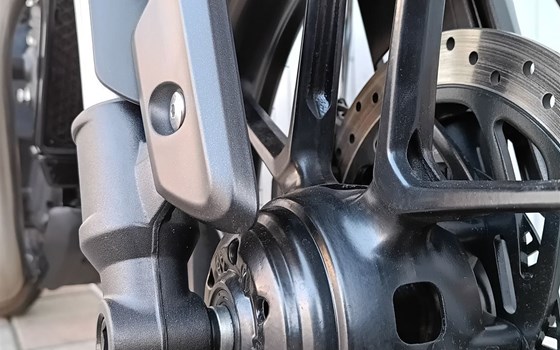 Motorrad Occasion Triumph Speed 400 - Bild 6