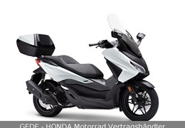 Neumotorrad Honda Forza 125