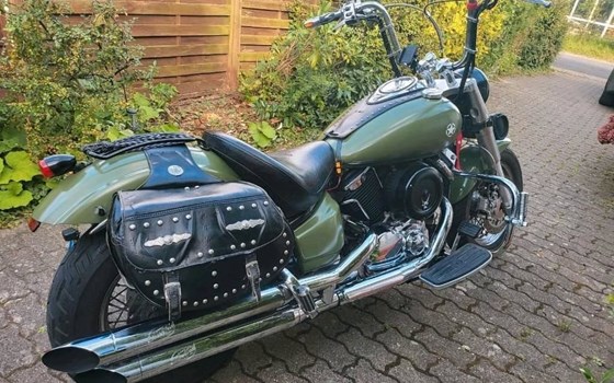 Gebrauchtmotorrad Yamaha XVS 1100 Drag Star - Bild 10 Gebrauchtmotorrad Yamaha XVS 1100 Drag Star - Bild 10