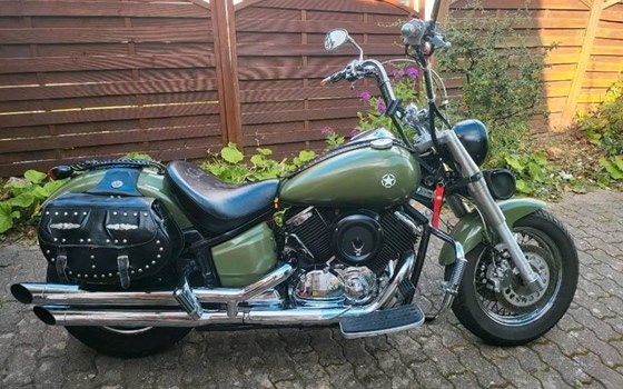 Gebrauchtmotorrad Yamaha XVS 1100 Drag Star - Bild 4 Gebrauchtmotorrad Yamaha XVS 1100 Drag Star - Bild 4