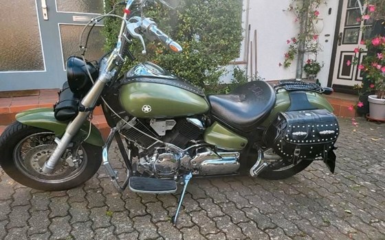 Gebrauchtmotorrad Yamaha XVS 1100 Drag Star - Bild 5 Gebrauchtmotorrad Yamaha XVS 1100 Drag Star - Bild 5