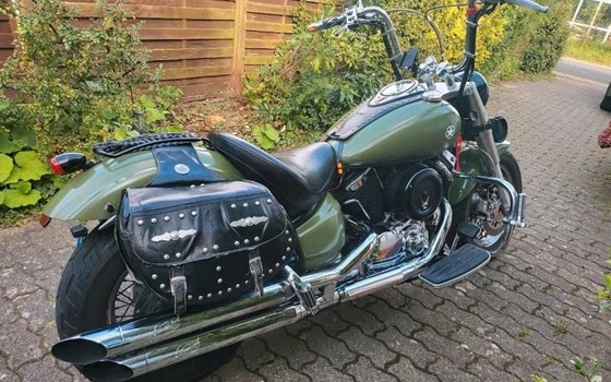 Gebrauchtmotorrad Yamaha XVS 1100 Drag Star - Bild 6 Gebrauchtmotorrad Yamaha XVS 1100 Drag Star - Bild 6