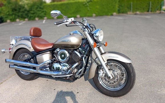 Gebrauchtmotorrad Yamaha XVS 1100 Drag Star Classic - Bild 8 Gebrauchtmotorrad Yamaha XVS 1100 Drag Star Classic - Bild 8