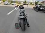 Angebot Indian Scout Rogue