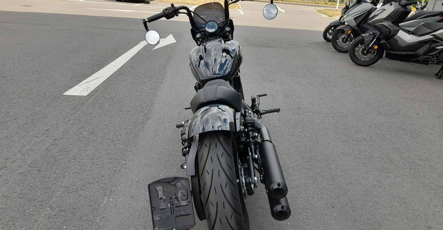 Angebot Indian Scout Rogue