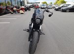 Angebot Indian Scout Rogue