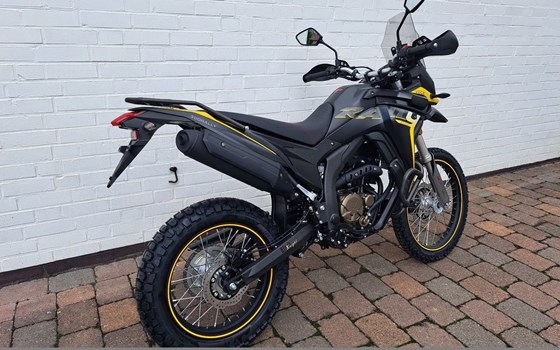 Neufahrzeug Voge 300 Rally - Bild 3