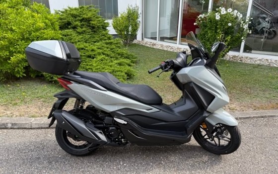 Neufahrzeug Honda Forza 350 - Bild 1