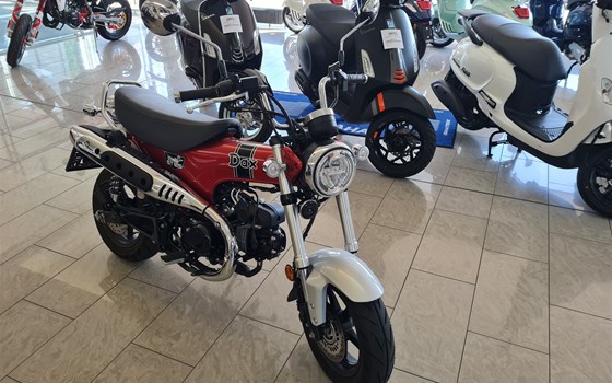 Gebrauchtmotorrad Honda Dax 125 - Bild 1