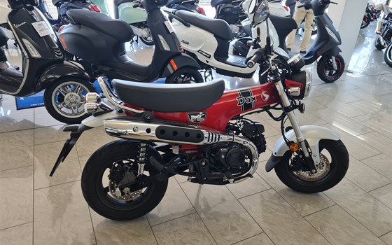 Gebrauchtmotorrad Honda Dax 125 - Bild 2 Gebrauchtmotorrad Honda Dax 125 - Bild 2