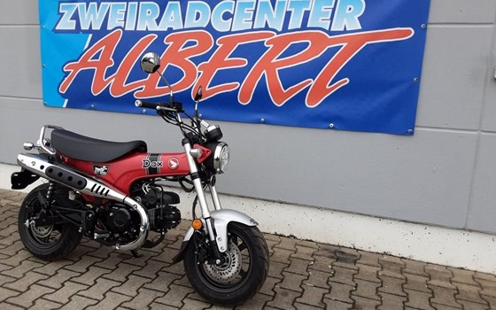 Gebrauchtmotorrad Honda Dax - Bild 2