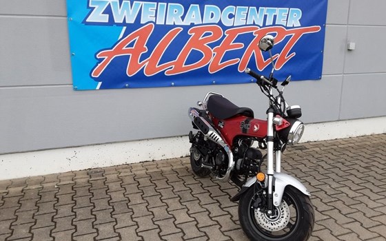 Gebrauchtmotorrad Honda Dax - Bild 9