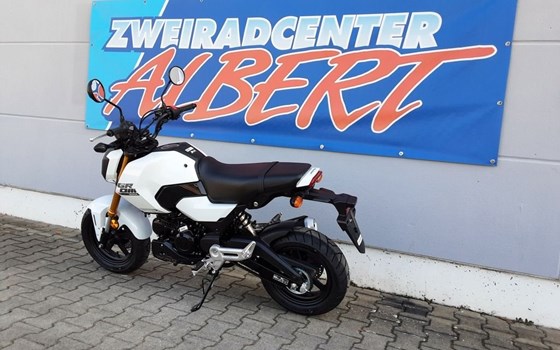 Gebrauchtmotorrad Honda MSX 125 - Bild 2