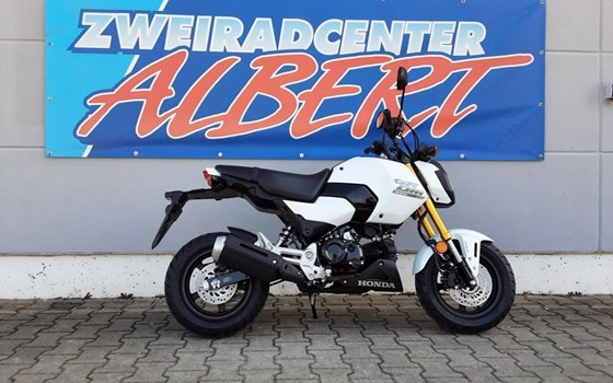 Gebrauchtmotorrad Honda MSX 125 - Bild 2