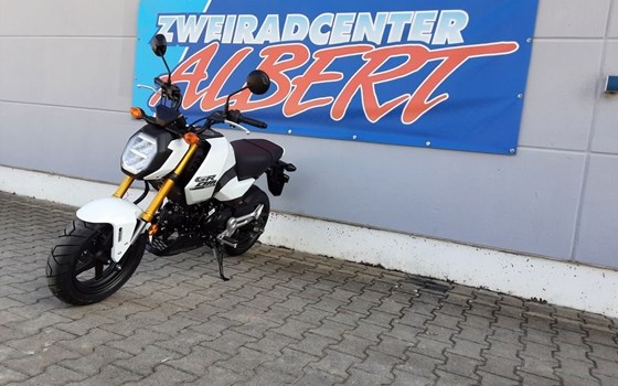 Gebrauchtmotorrad Honda MSX 125 - Bild 5