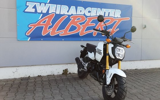 Gebrauchtmotorrad Honda MSX 125 - Bild 5