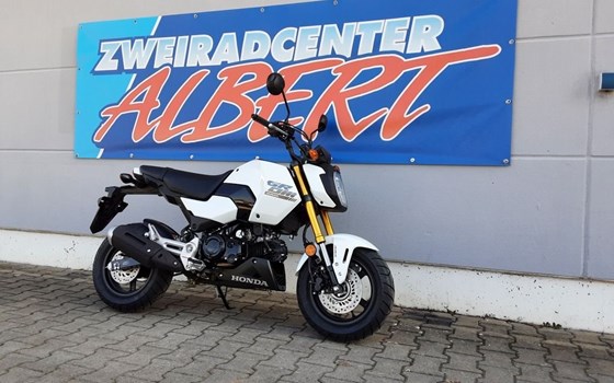 Gebrauchtmotorrad Honda MSX 125 - Bild 7