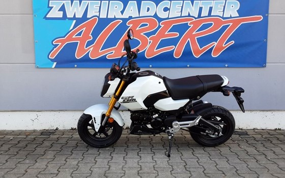 Gebrauchtmotorrad Honda MSX 125 - Bild 8