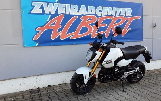 Gebrauchtmotorrad Honda MSX 125 - Bild 9