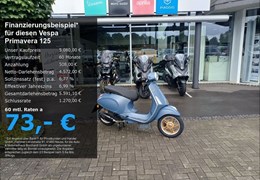 Neumotorrad Vespa Primavera 125 Officina 8