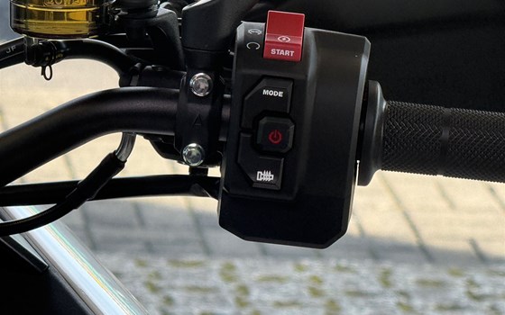 Neufahrzeug Zontes 703F - Bild 11