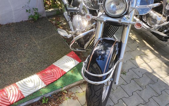 Gebrauchtmotorrad Suzuki VL 800 Volusia - Bild 1