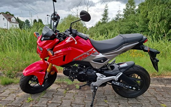 Gebrauchtmotorrad Honda MSX 125 - Bild 3