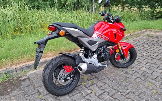 Gebrauchtmotorrad Honda MSX 125 - Bild 5