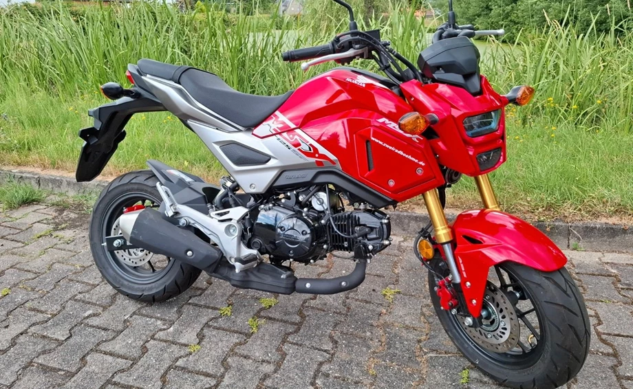 Offer Honda MSX 125 Bild 6: Offer Honda MSX 125