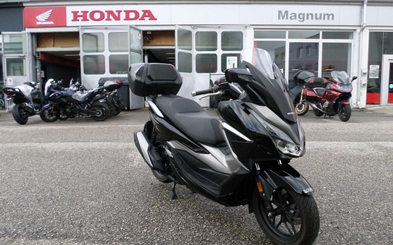 Gebrauchtmotorrad Honda Forza 350 - Bild 1 Gebrauchtmotorrad Honda Forza 350 - Bild 1